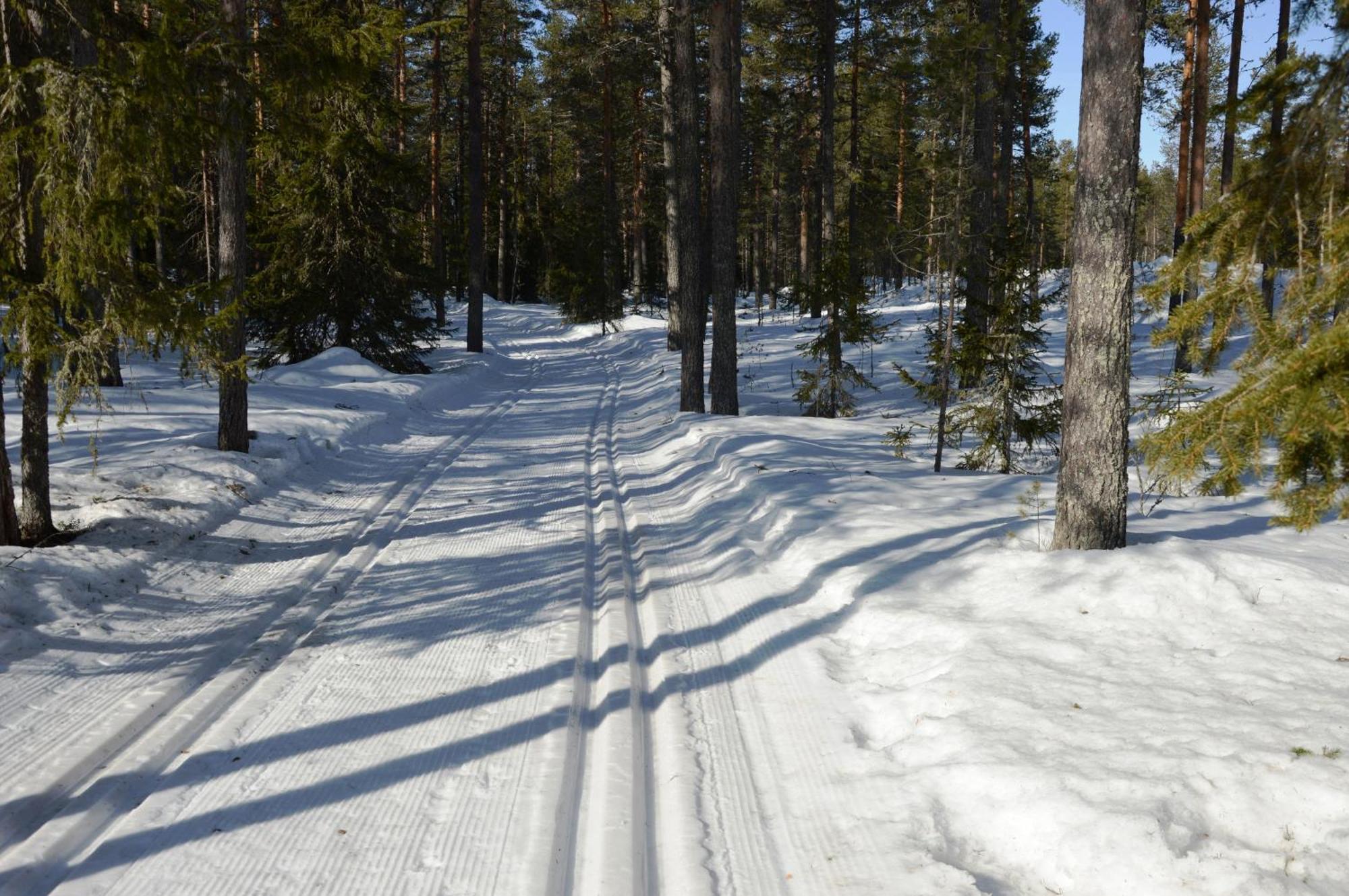 Hytte Anno 1721 Uten Internett, Strom, Vann - Men Med Rodmalt Utedo Ljørdal Dış mekan fotoğraf