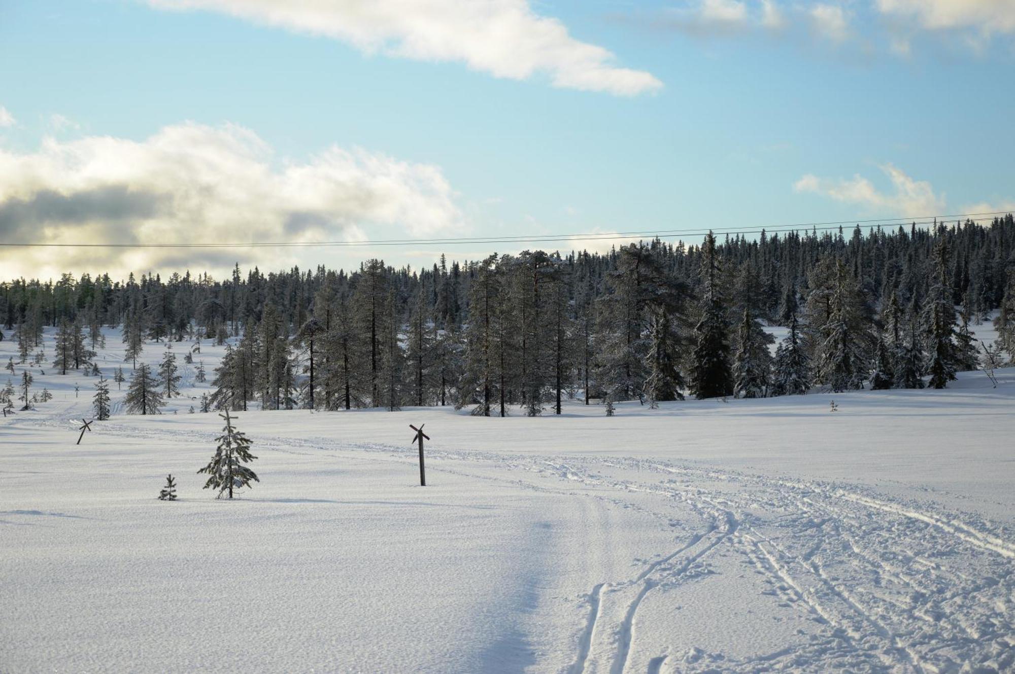 Hytte Anno 1721 Uten Internett, Strom, Vann - Men Med Rodmalt Utedo Ljørdal Dış mekan fotoğraf