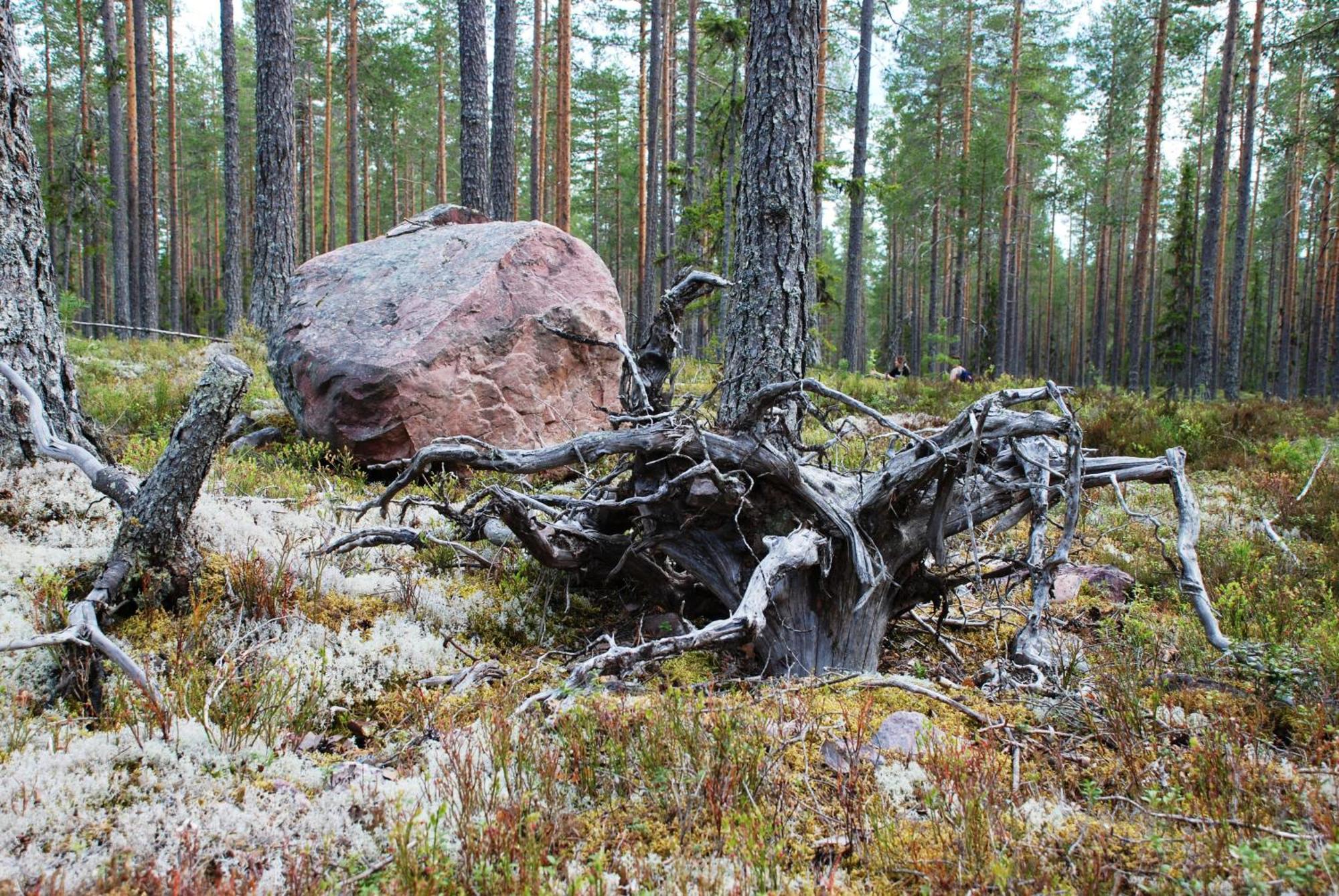 Hytte Anno 1721 Uten Internett, Strom, Vann - Men Med Rodmalt Utedo Ljørdal Dış mekan fotoğraf