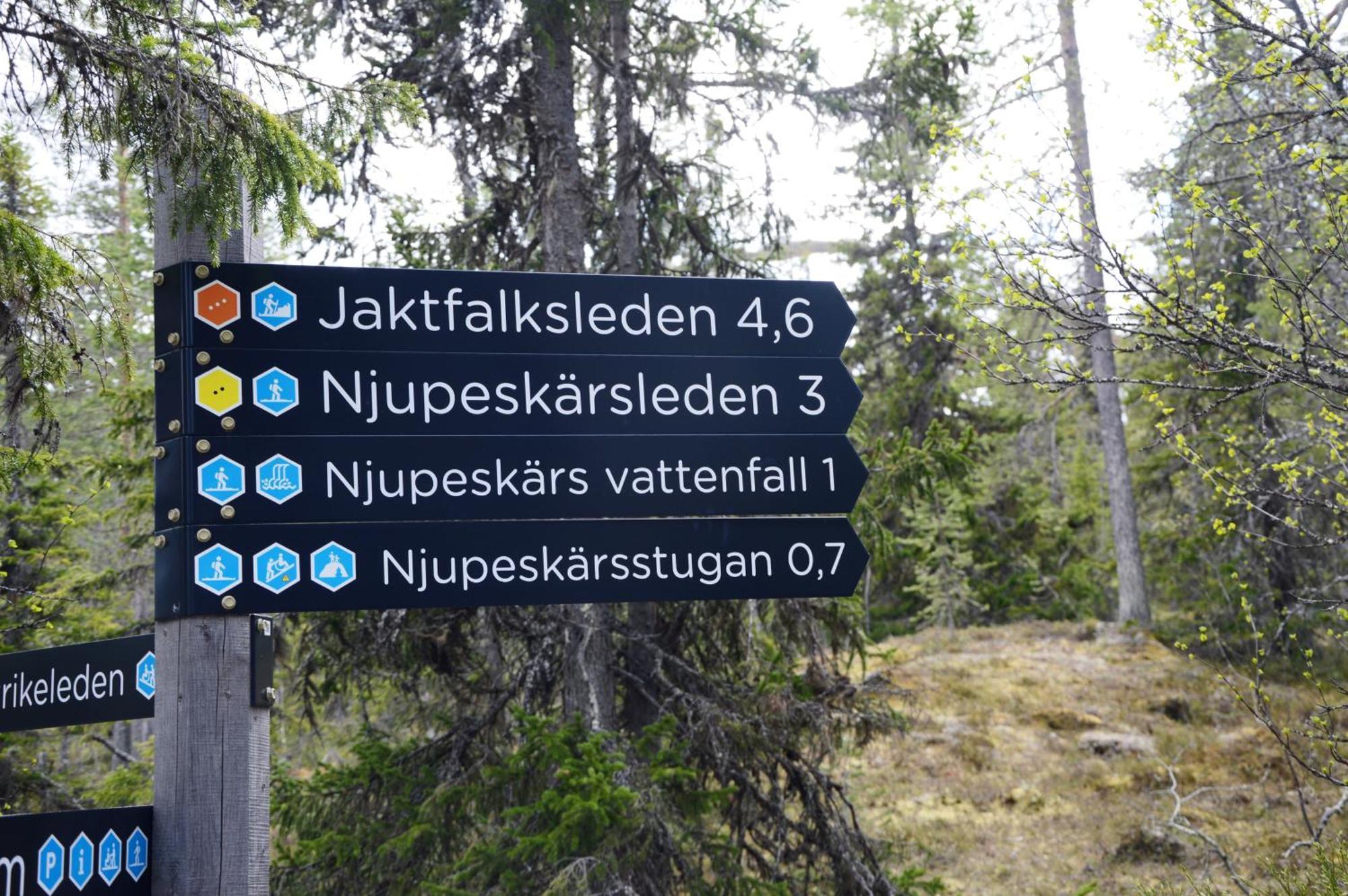 Hytte Anno 1721 Uten Internett, Strom, Vann - Men Med Rodmalt Utedo Ljørdal Dış mekan fotoğraf