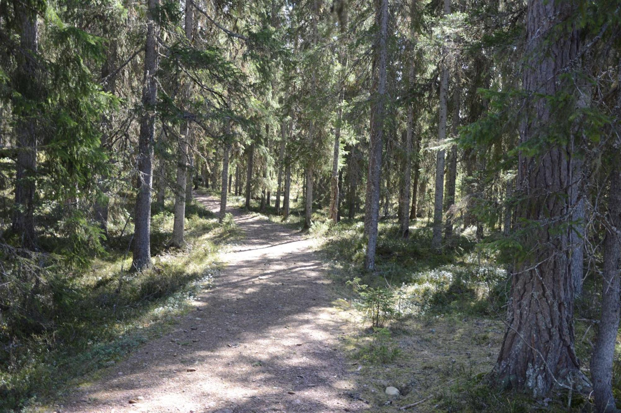 Hytte Anno 1721 Uten Internett, Strom, Vann - Men Med Rodmalt Utedo Ljørdal Dış mekan fotoğraf